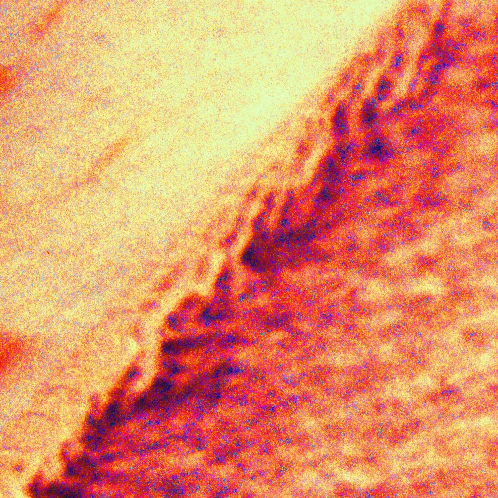 Coral Pulse, detail at actual size
