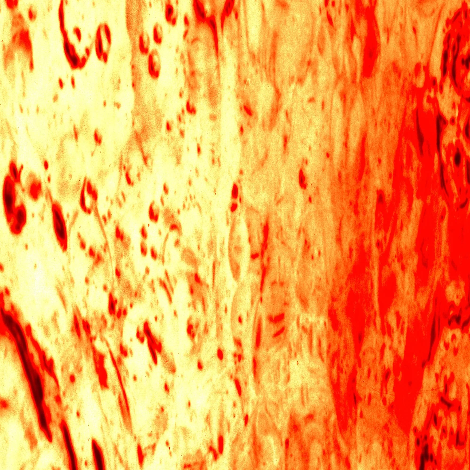 Kindled Breath, detail at actual size