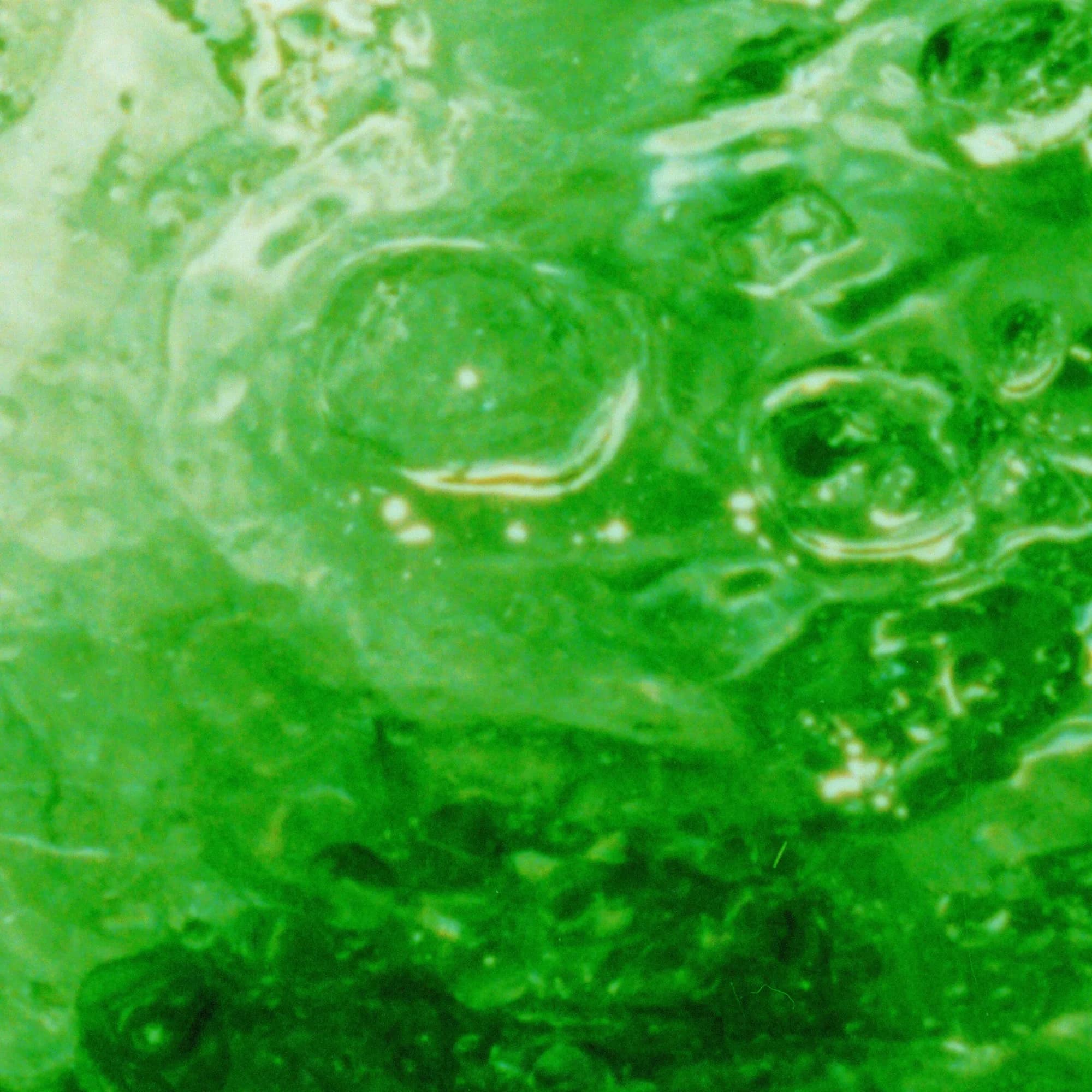 Verdant Breath, detail at actual size
